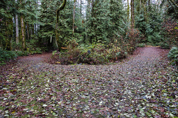Scenic view of trail passing through provincial Parks in British Colombia, Canada