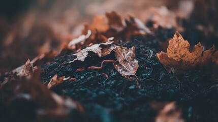 Millipedes crawling on dark soil under autumn leaves
