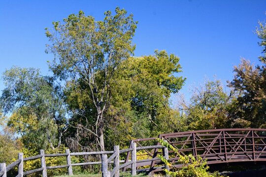Foot bridge passing over the lock into the foliage