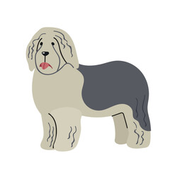 Old english sheepdog icon clipart avatar logotype isolated illustration