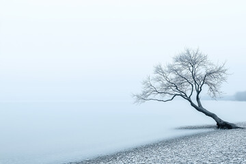 Fototapeta premium Solitary tree on a misty winter shore in monochrome