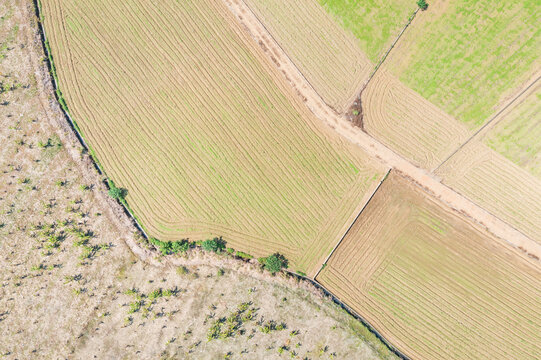 Farmland Patterns Seen from Sky