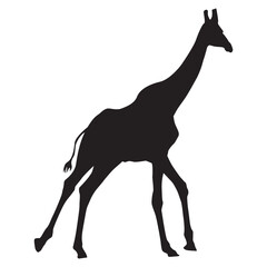 Silhouette of a Giraffe Standing in the Savannah, African Wildlife