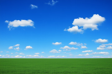 Fototapeta premium Idyllic Spring Meadow Landscape