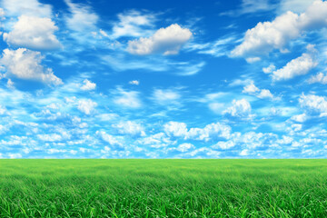 Fototapeta premium Idyllic Spring Meadow Landscape