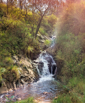 A peaceful natural scene of a small waterfall surrounded by lush greenery, sunlight filtering through the trees, and a serene outdoor atmosphere. 
