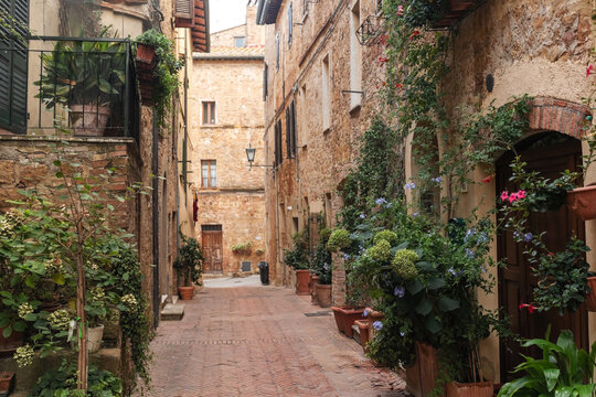 Fototapeta nice street with cobblestone houses full of plants in tuscany