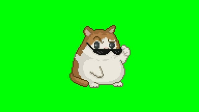 Cat with intimidating look, pixel art meme animation 