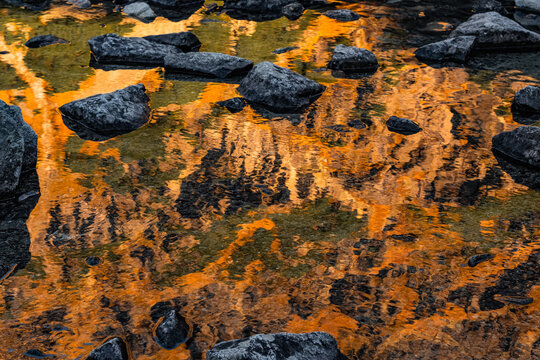 Abstract natural autumn background with reflection on the water