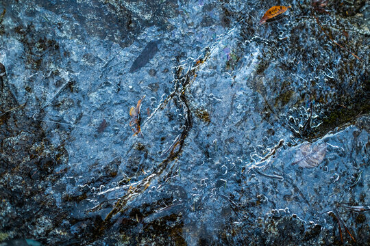 Abstract natural background with icing