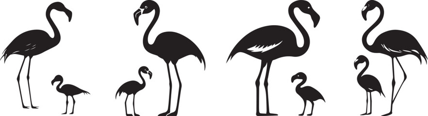 Silhouette set of flamingo bird with his baby, vector silhouette