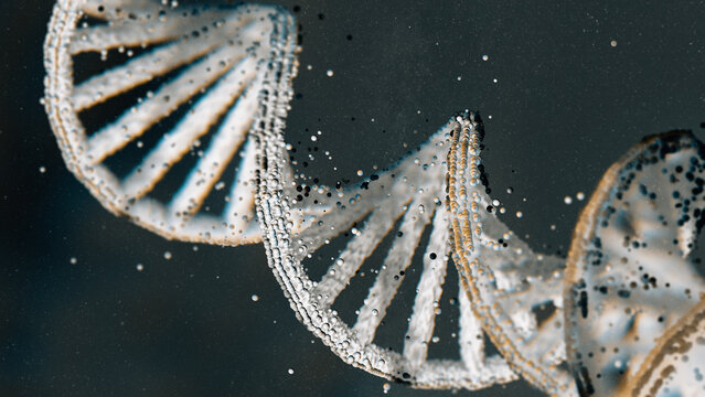 DNA strands captured in detail using macro photography