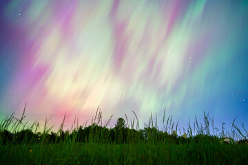 Northern Lights Shower