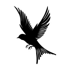 Obraz premium 鳥 シルエット
