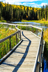 Fototapeta premium A wooden bridge over a river with trees in the background