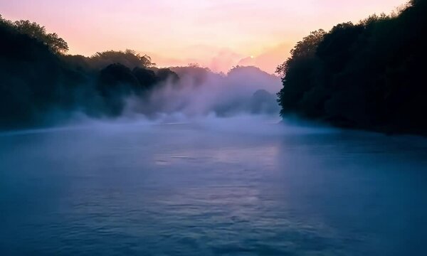 Foggy Dawn On River With Tall Trees