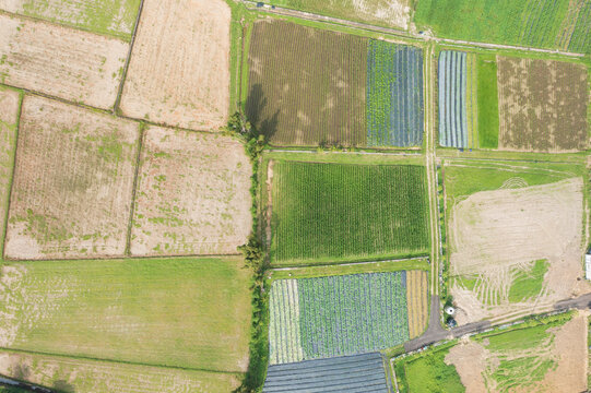 Aerial View of Farmland with Crop Fields and Paths