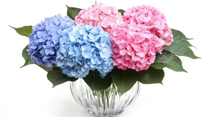 Fototapeta premium Vibrant Arrangement of Blue, Pink, and Purple Hydrangea Flowers in a Glass Vase with Green Leaves Against a Bright Background