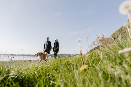 Couple Walking Dog Along Scenic Lakeside Trail in Nature - Powered by Adobe