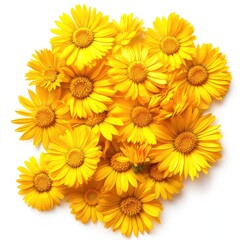 A vibrant arrangement of yellow flowers, symbolizing joy and freshness.