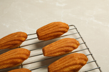 Madeleine cakes on grid on light background, close up