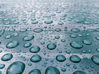 raindrops fall on a green background. selective focusing