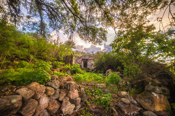 Old house in ruins at sunset framed by a tree, in Rancho Los Cardos in Monte Escobedo, Zacatecas