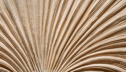 Creamy beige layers create a mesmerizing radial pattern. Abstract art.