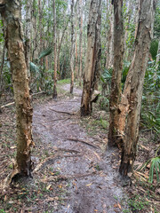 Okeeheelee Park South MTB Biking Trail, West Palm Beach, Florida