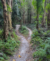 Okeeheelee Park South MTB Biking Trail, West Palm Beach, Florida