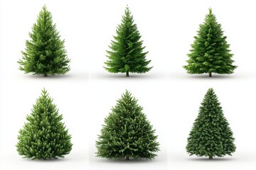 Obraz premium Set of Christmas tree isolated in white background