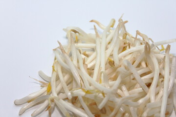 生命の芽生え、もやしの一生