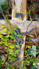 an old wooden cross with the image of Christ nailed to it, overgrown and neglected, symbol, figurine