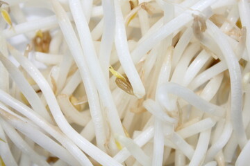 新鮮もやし、生命力あふれる白