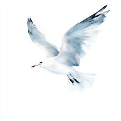 Obraz premium A watercolor illustration of a flying seagull against a white background.