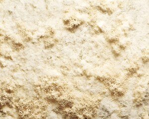 A textured surface resembling lichen or moss, with a light beige color and intricate patterns.