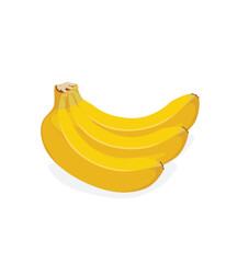 Ripe banana bunch on white background, vector illustration stock illustration