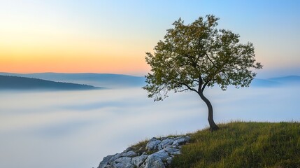 Obraz premium Solitary Tree on a Misty Mountaintop