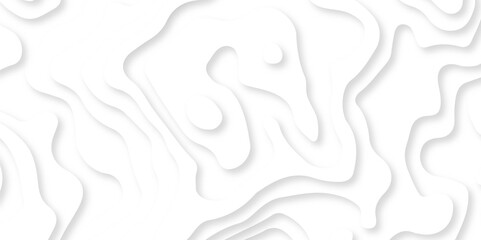 Abstract wavy line 3d paper cut white background. Modern design with White background with topographic wavy pattern