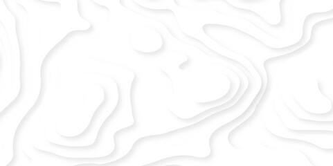 Abstract wavy line 3d paper cut white background. Modern design with White background with topographic wavy pattern