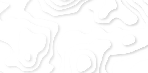 Abstract wavy line 3d paper cut white background. Topographic map background geographic line map with elevation assignments. 