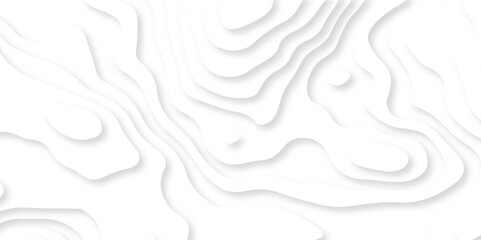 Abstract wavy line 3d paper cut white background. Topographic canyon geometric map relief texture with curved layers and shadow. Abstract realistic papercut decoration textured with wavy layers