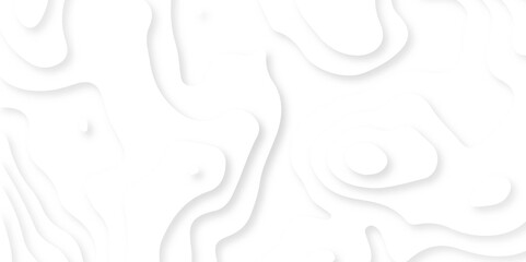 Abstract wavy line 3d paper cut white background. Topographic canyon geometric map relief texture with curved layers and shadow. Abstract realistic papercut decoration textured with wavy layers