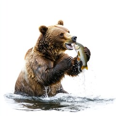 Obraz premium A bear catching a fish in a river, showcasing wildlife behavior and natural hunting skills.