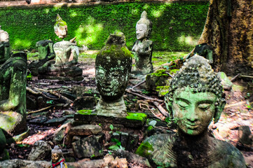 Sculpture of Old Stone Head Buddha , Symbols of Buddhism at Umong Temple, Chiang Mai, Northern Thailand