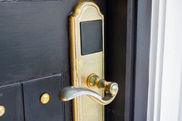 Close-up of wooden door with classic golden handles and ornaments,gold door handle and...