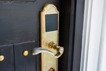 Close-up of wooden door with classic golden handles and ornaments,gold door handle and...
