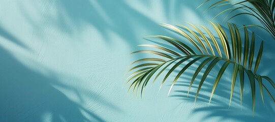 palm leaf plant on blue background 9