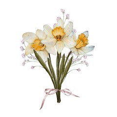 Bouquet of Spring Flower Narcissus With small delicate light flowers with Beige, light ribbon. Watercolor illustration On white background. For holidays, Easter. Birthday and anniversary greetings