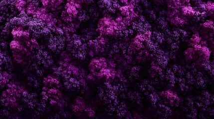 A vibrant abstract representation of textured purple clouds or foliage.